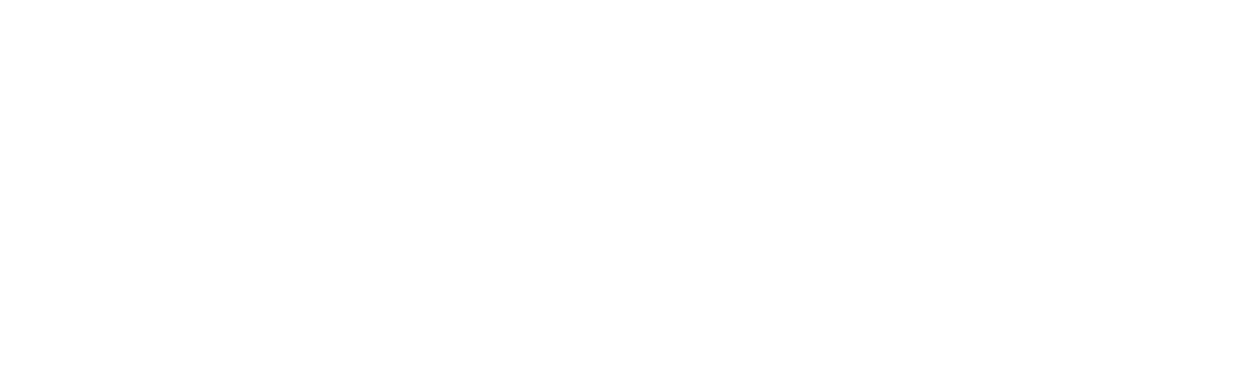 NEO BUSINESS SPORT